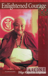 Enlightened Courage Kirjat