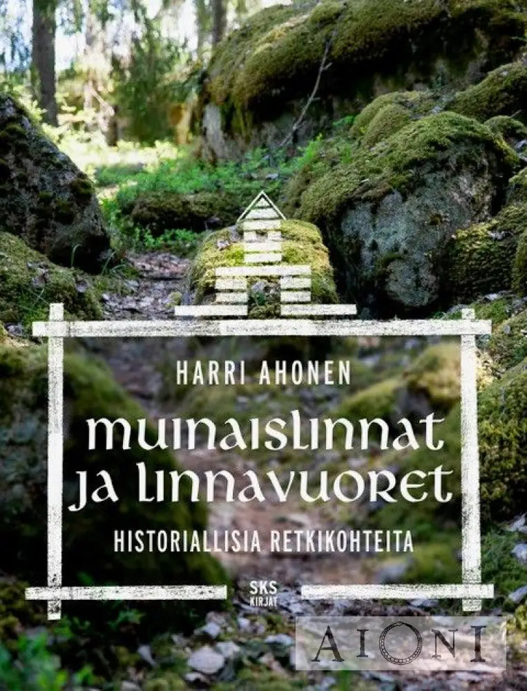 Muinaislinnat ja linnavuoret — Historiallisia retkikohteita Kirjat