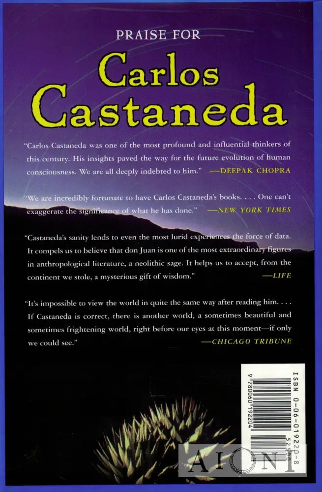 The Active Side of Infinity Kirjat