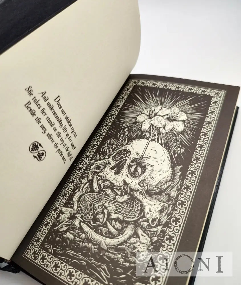 The Catechism Of Lucifer Kirjat