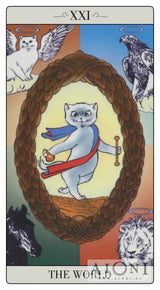 Way Jodorowsky Explained Tarot to His Cat – 22 full colour tarot cards and 80pp book Tarot