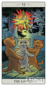 Way Jodorowsky Explained Tarot to His Cat – 22 full colour tarot cards and 80pp book Tarot