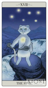 Way Jodorowsky Explained Tarot to His Cat – 22 full colour tarot cards and 80pp book Tarot