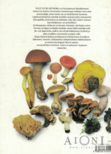 WSOY Suuri sienikirja - Kirjat